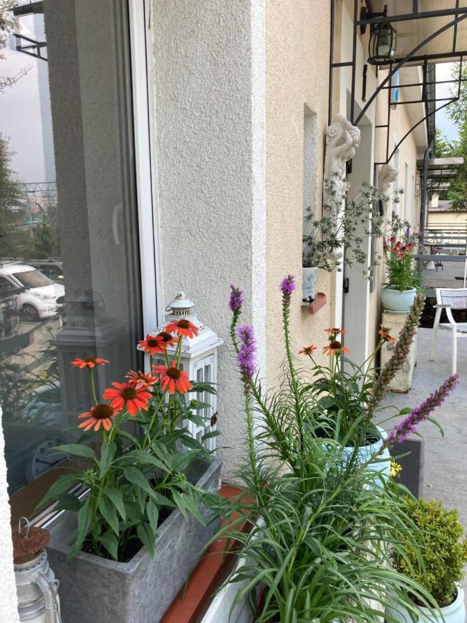 Villa Italiana Pokoje Z Prywatnymi Lazienkami & Odnowa Biologiczna 格丁尼亚 外观 照片